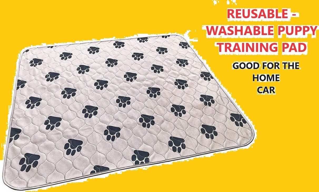 Leiamex Large 31×35 – 2 Pack Reusable Washable Absorbent Dog Training Pads