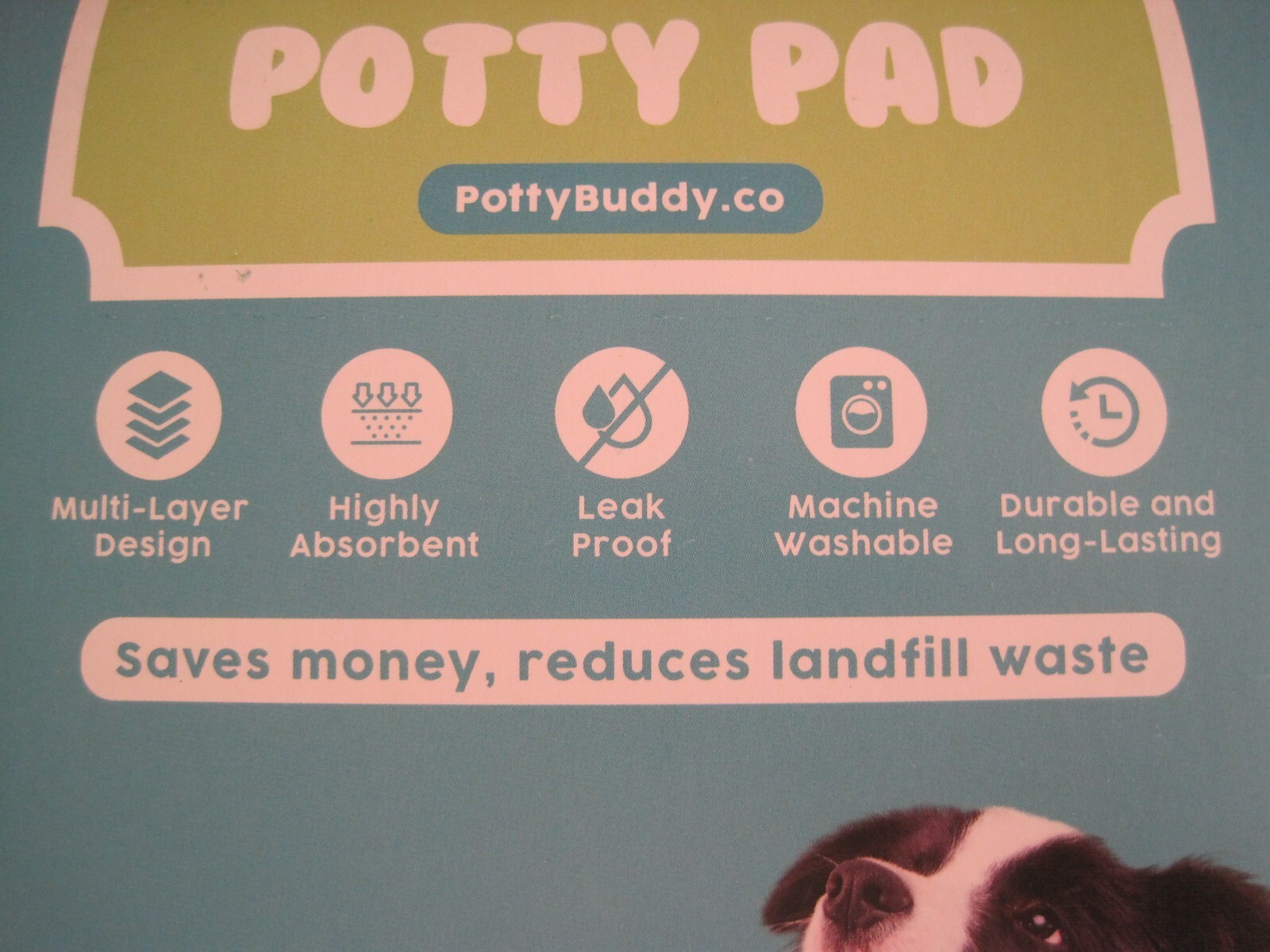 POTTY BUDDY REUSABLE WASHABLE HOUSE TRAINING POTTY PAD-GREEN