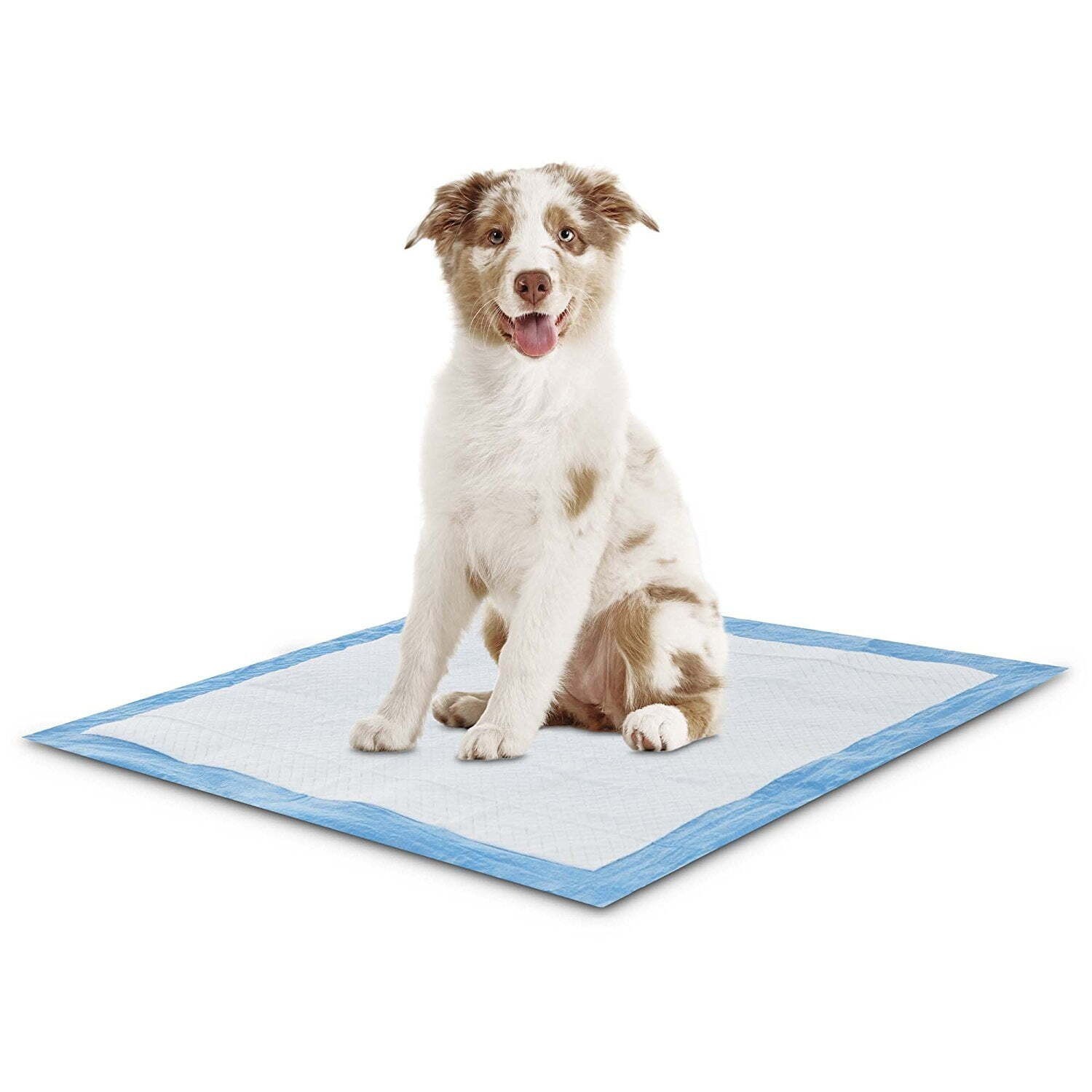 23×36 Extremely Puppy Training Pads Strong Potty Heavy Absorbent 50 Count New