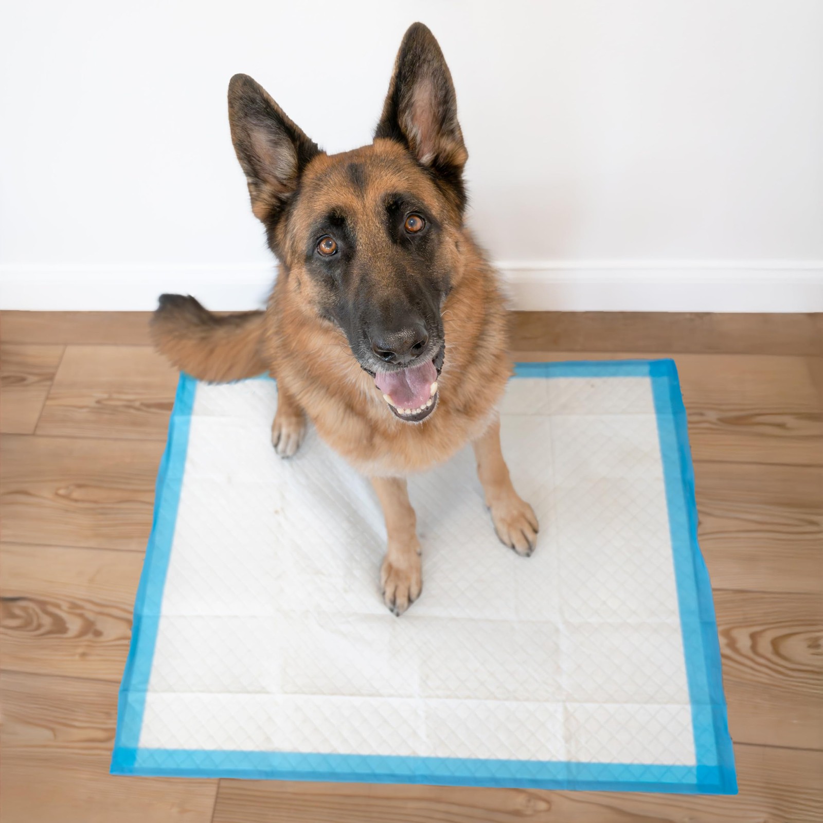 Four Paws Wee-Wee Pads 14 pack Extra Large White 28″ x 34″ x 0.1