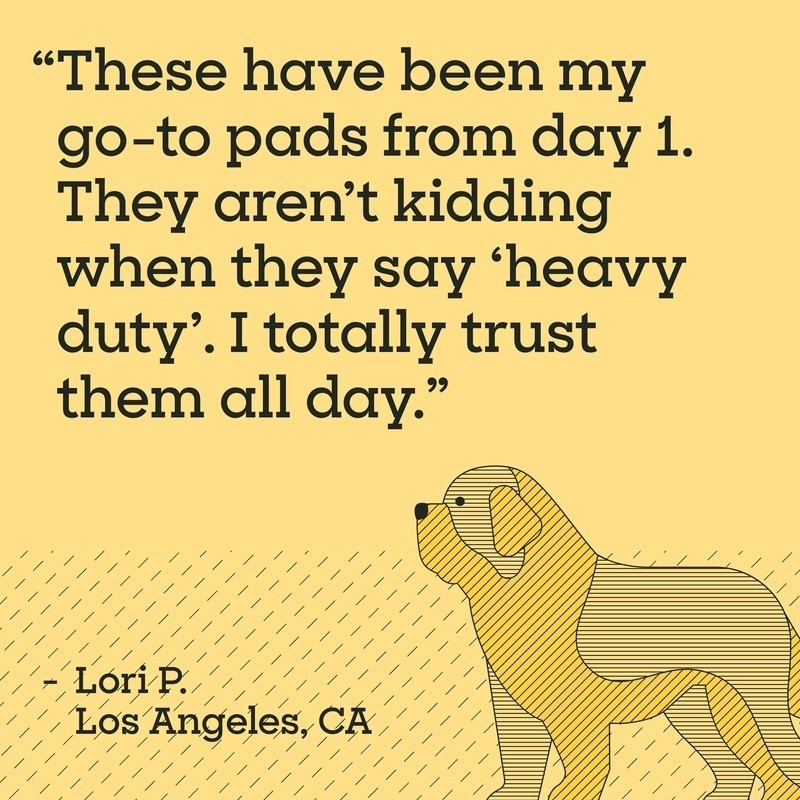 Heavy Duty Dog Pads XL Super Absorbent Odor Control Leak Proof 25 Pack New