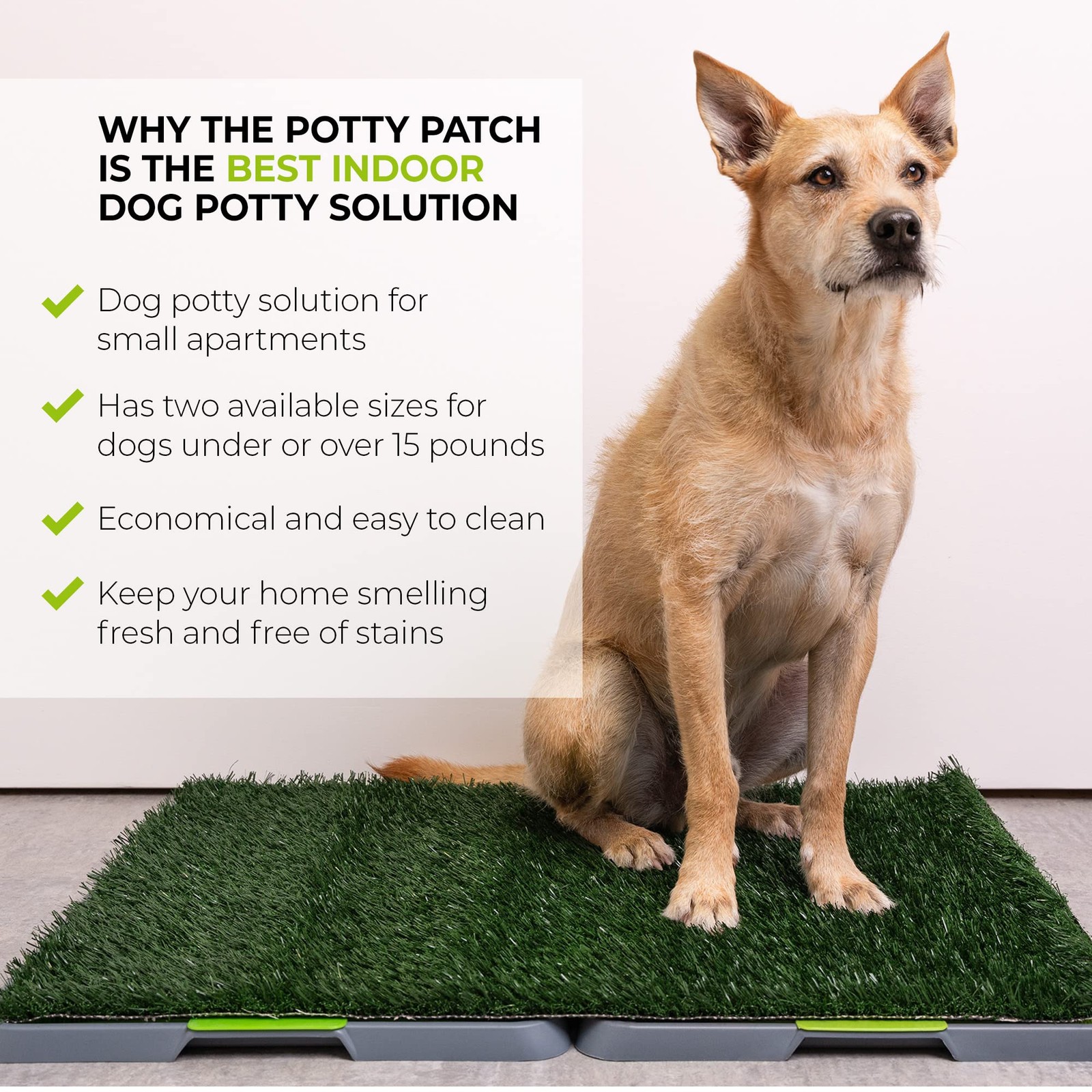 Dog Grass Pad Fake Grass for Dogs to Pee on, Indoor Dog Potty for Dogs Over 1…