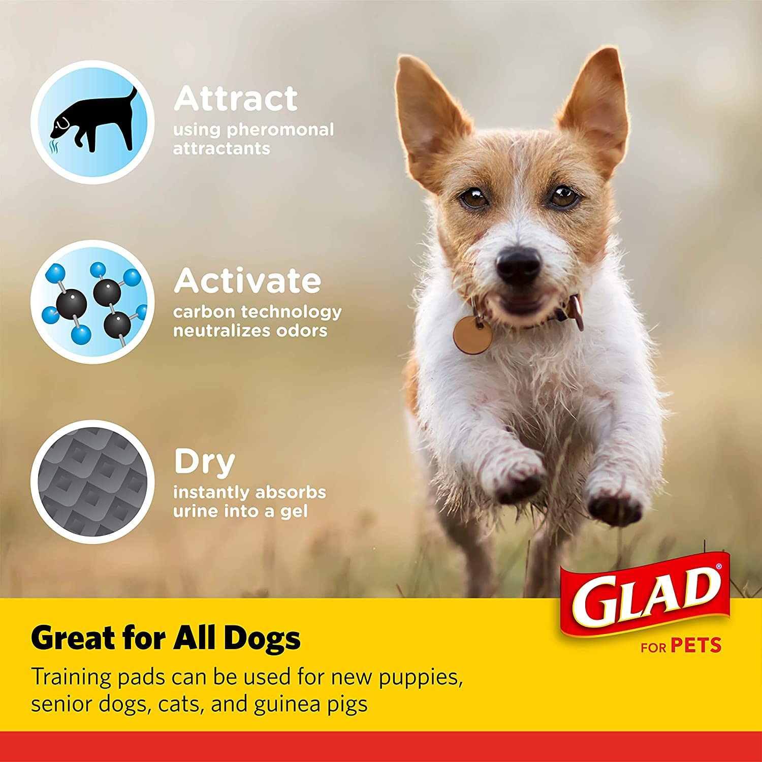 for Pets Black Charcoal Puppy Pads – Super Absorbent Disposable Dog Pee Pads, Po