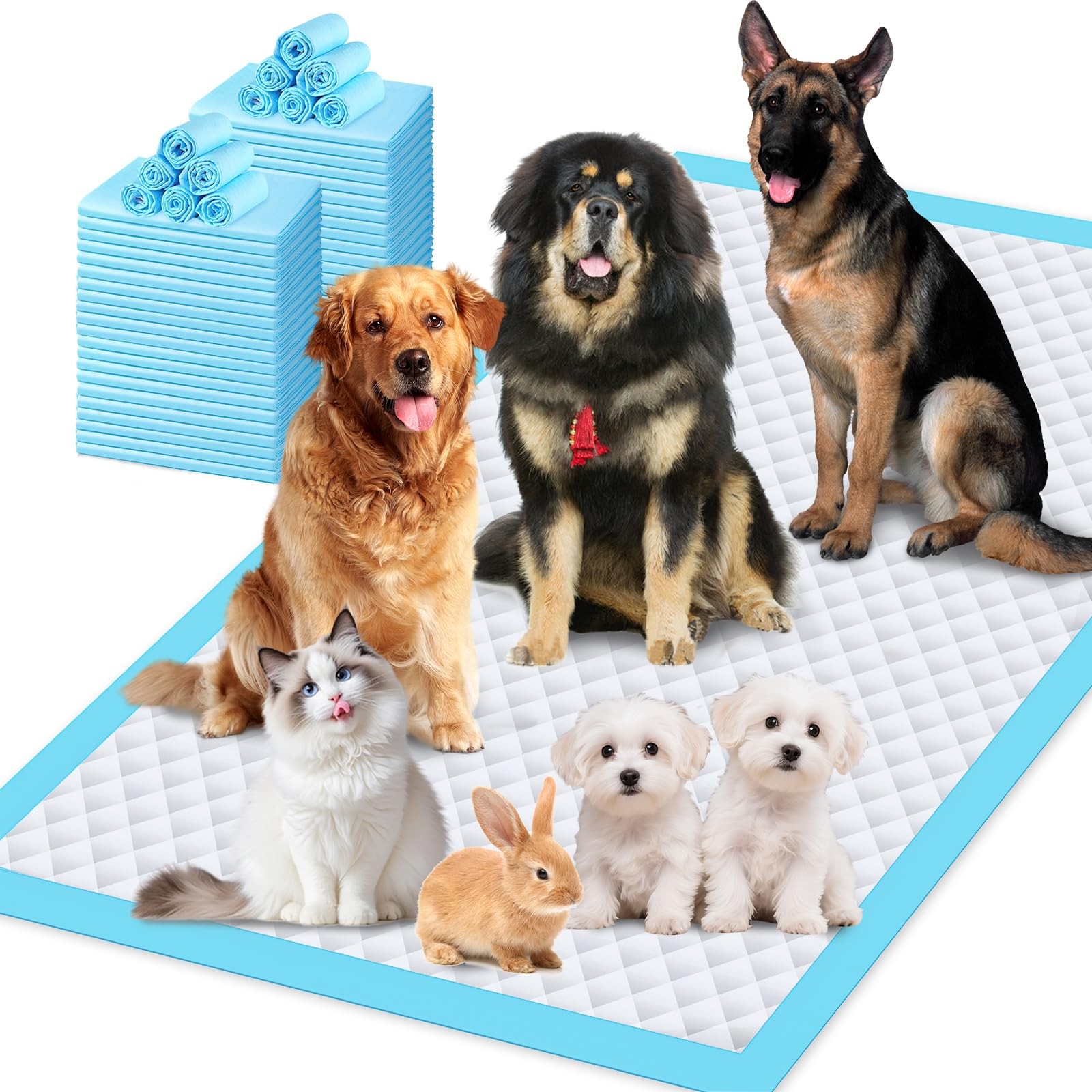 Dog Training Pads 31×55 Extra Large 1200ml Absorbency 40 Count – Leak-Proof