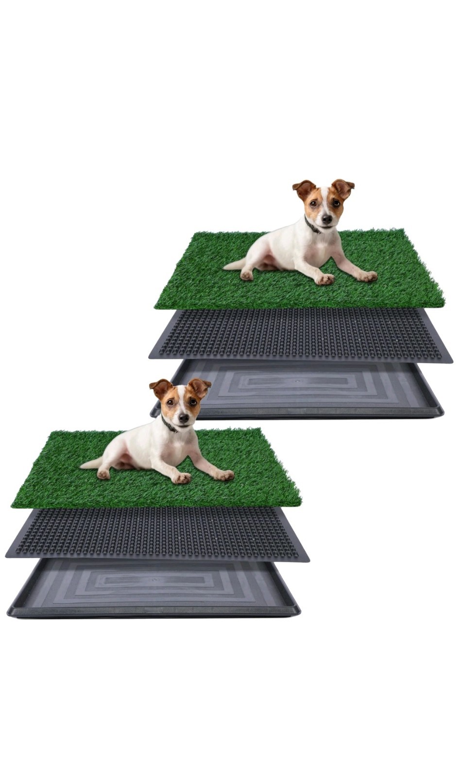 Puppy Potty Trainer Indoor Restroom