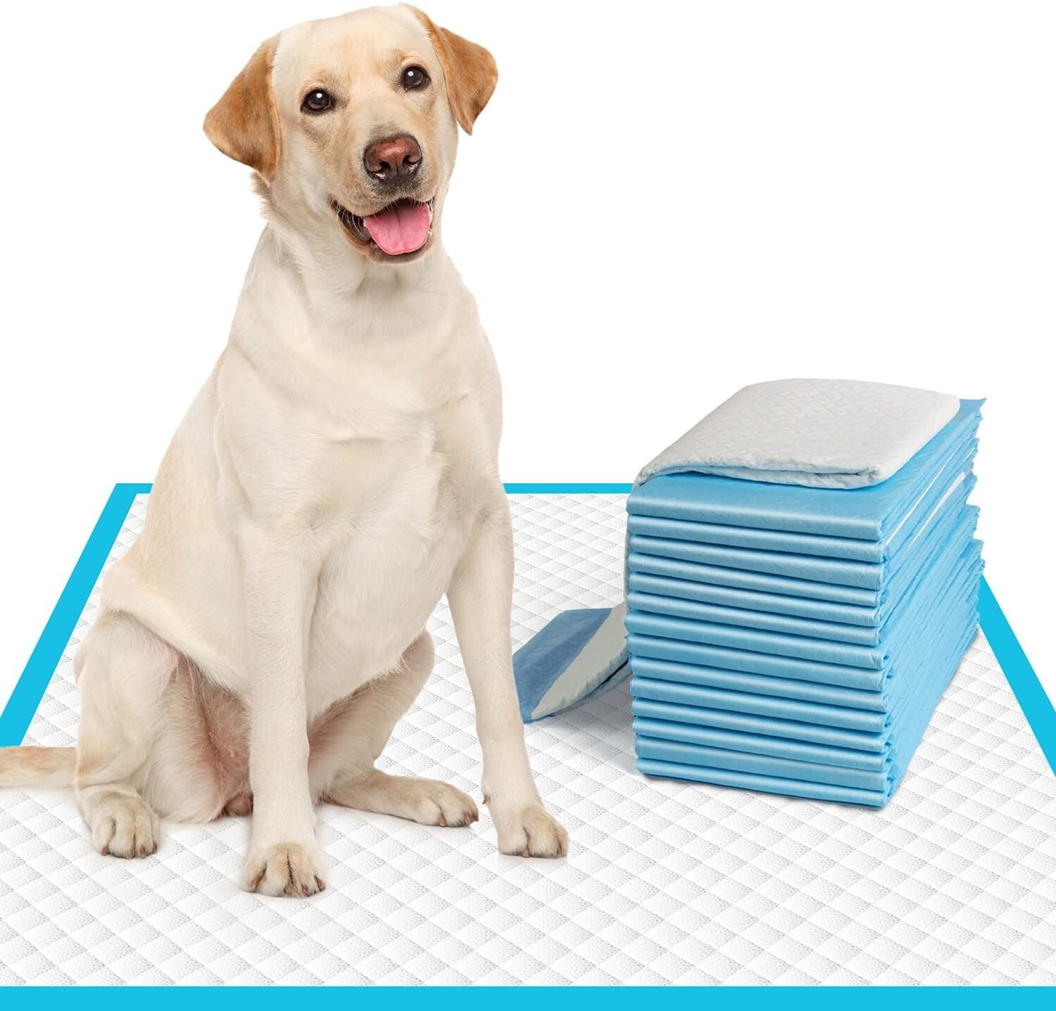 Super Absorbent Leak-Proof Extra-Large Dog Training Pads – 30 Count (28″x30″)