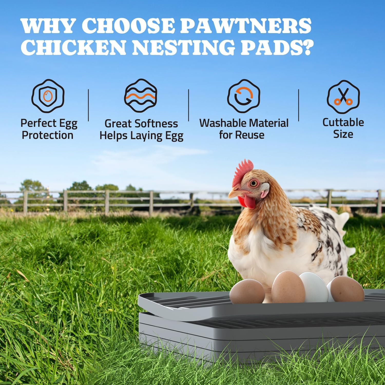 Nesting Pads for Chicken Coop: Nesting Box Pads for Chicken Coop Bedding, Washab
