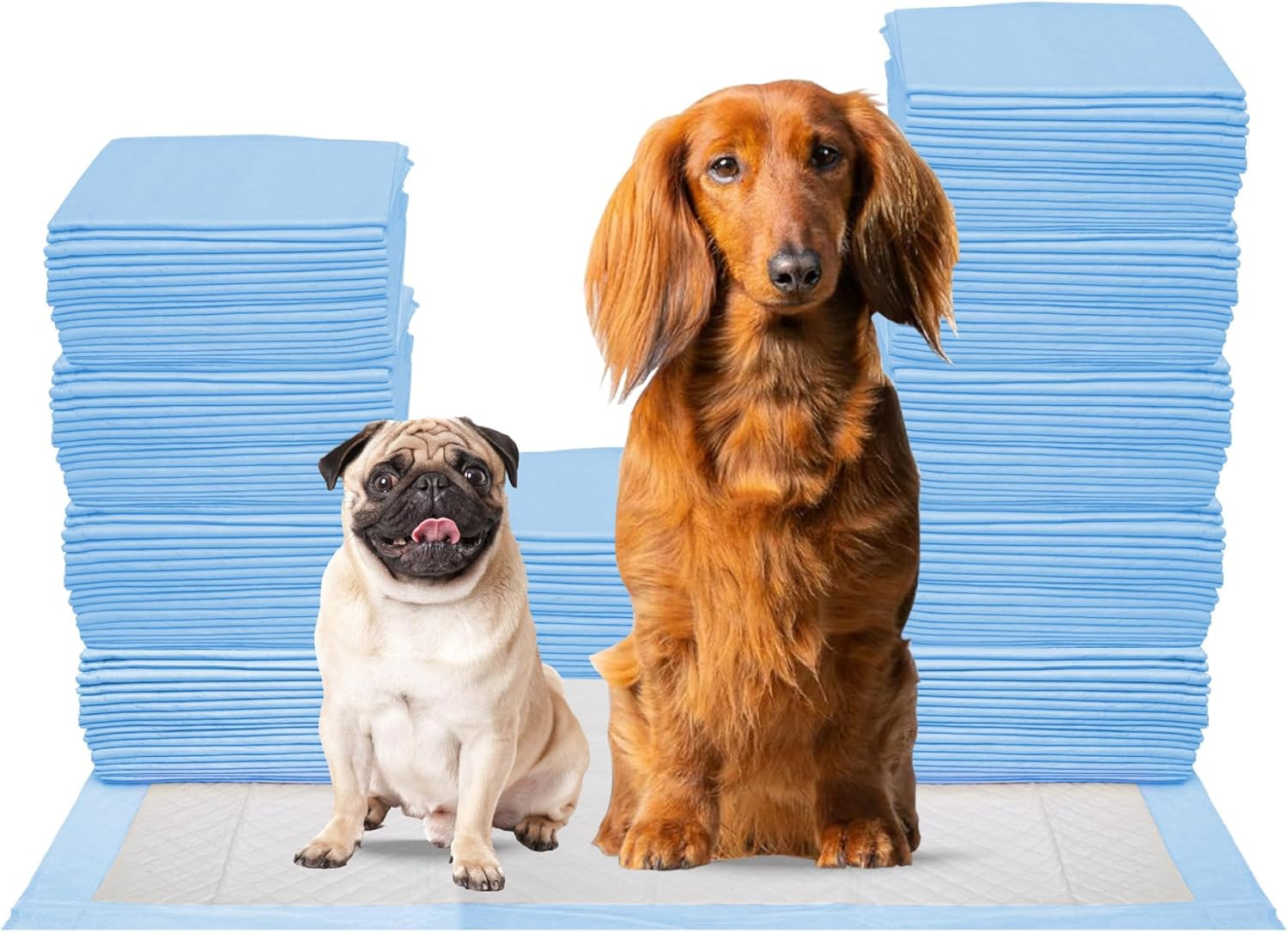 Kashmir Training Pads for Dogs 100 Count, Pee Pads for Dogs (Small, 13X18 Inch)