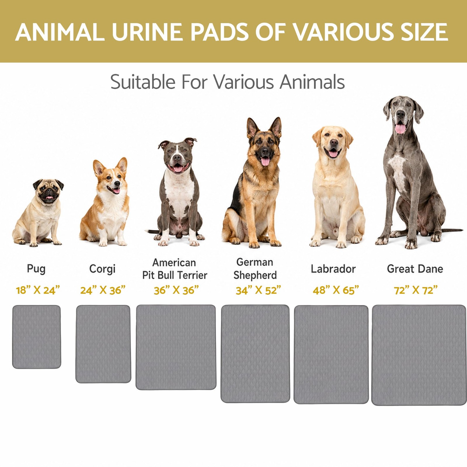 CoolShields Washable Pee Pads for Dogs, 24” x x 36”(2 Pack), Gray