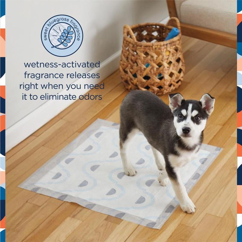 Absorbent Dog Pads 75ct Odor Control Leakproof Destroys Odors W/ Fragrance New