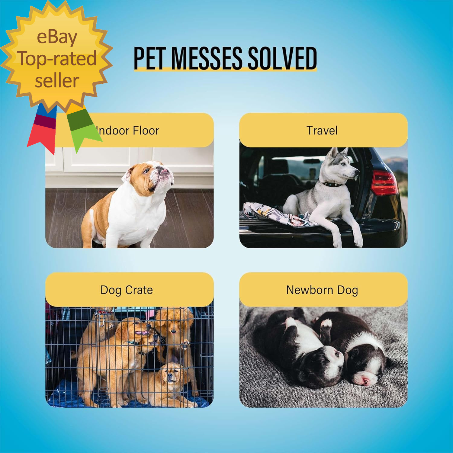 Best Value Training Pads 30 Count | Dog Pee Pads | Super Absorbent Puppy Pads