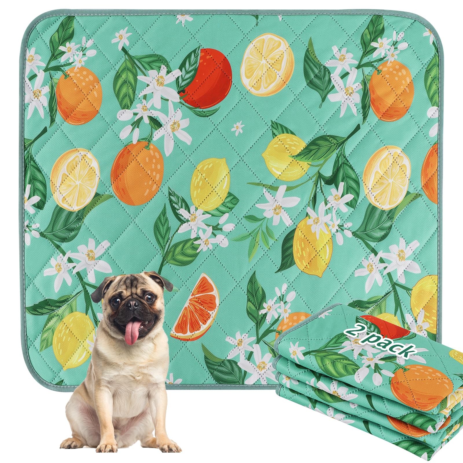 BVAGSS Washable Pee Pads for Dogs, 2 Pack 30X20 Inch (Pack of 2), Green Lemon