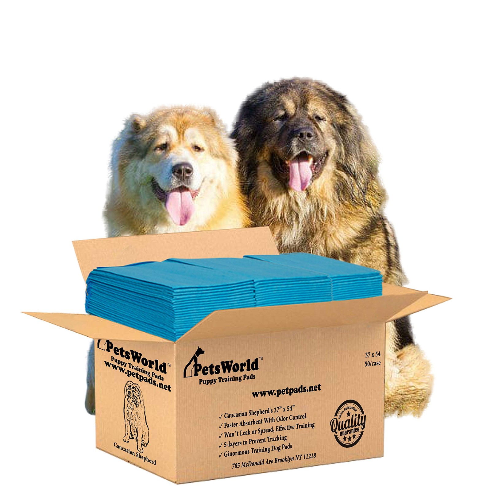 PetsWorld Enormous Dog Pee Pads 37″x54″ 50 Count – XXXL Pet 50 Count, 37×54