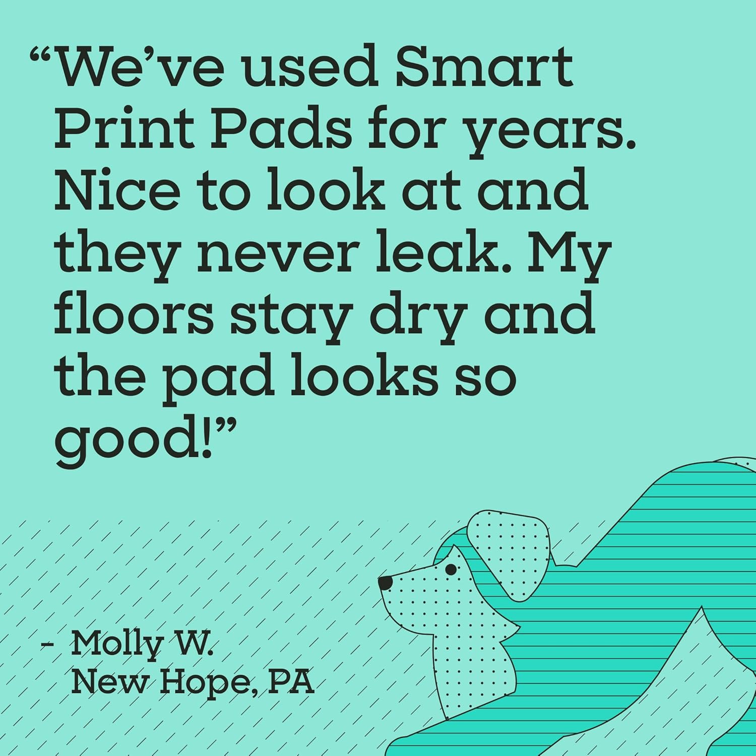 Smart Prints XXL Puppy Pads for Dogs, Potty Training Pee Pads, 64 Count, 30″ X 3