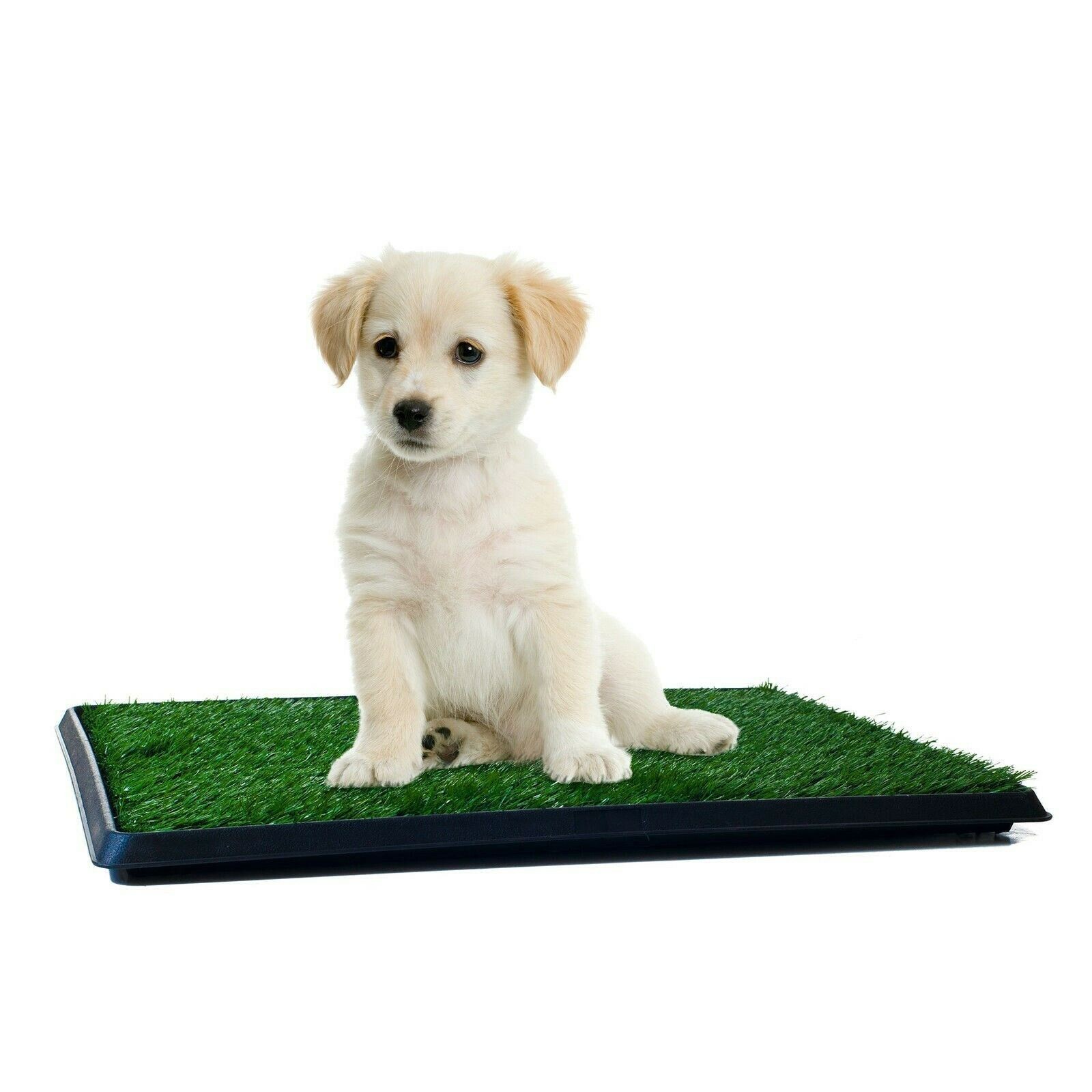 Puppy Pee Pad Dog Potty Pad Mat Grass Indoor Home Pet Training Toilet with Tray