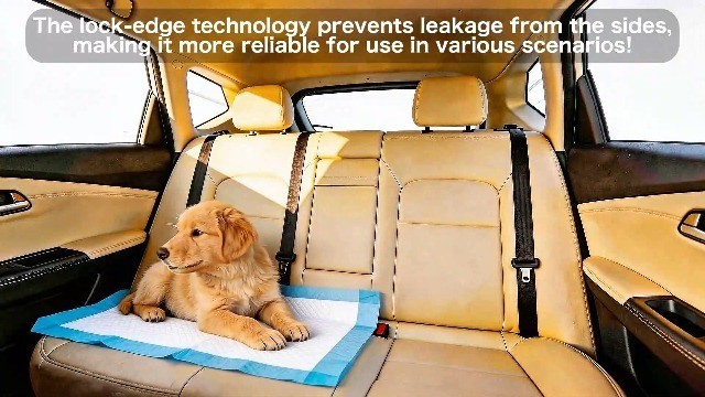 100 Count Premium Puppy Pads 22×23 Dog Pee Pads 6-Layer Leak Proof Super