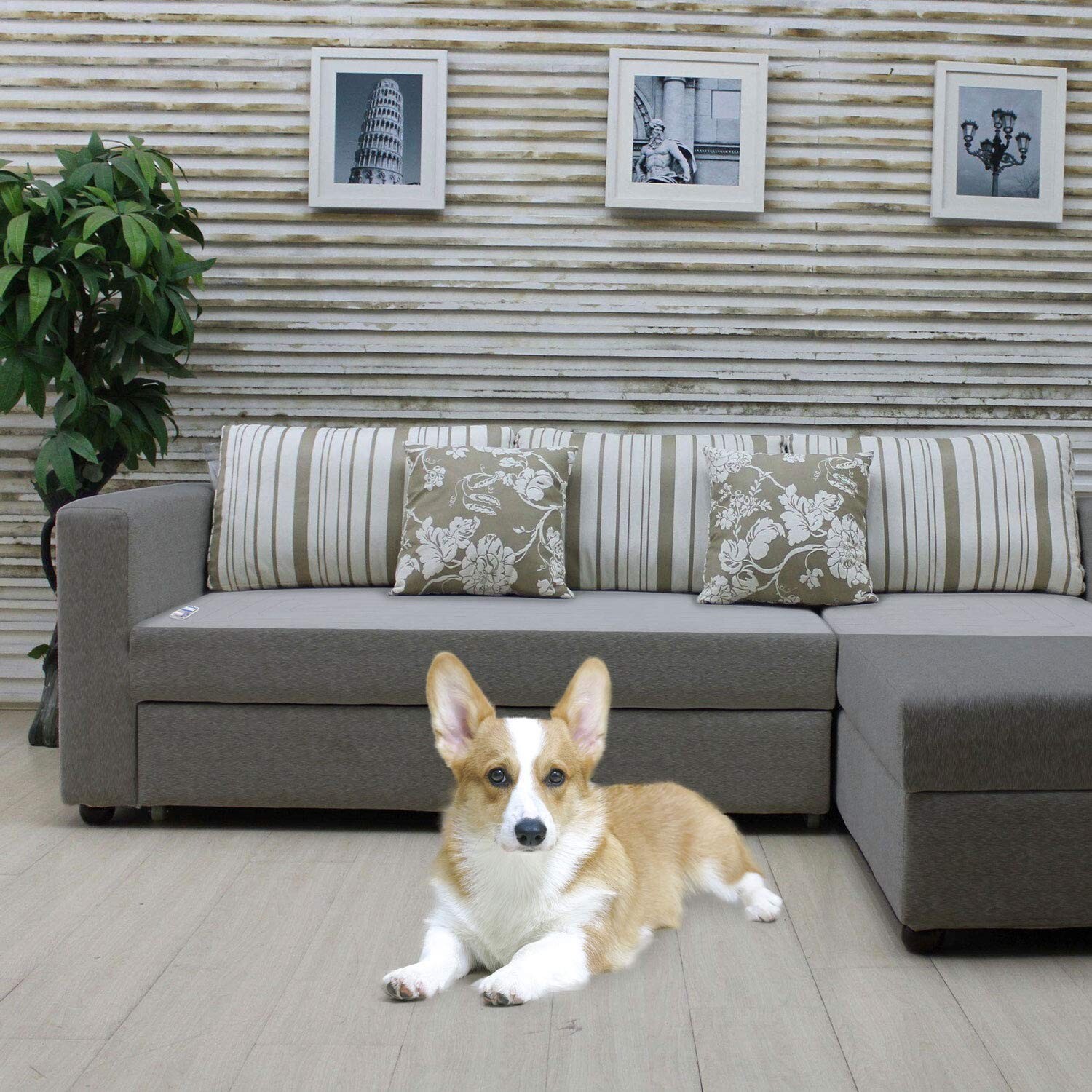 Electric Mat for Dogs Cats Pet Training Deterrent Shock Mat Pad – 60 x 12 in
