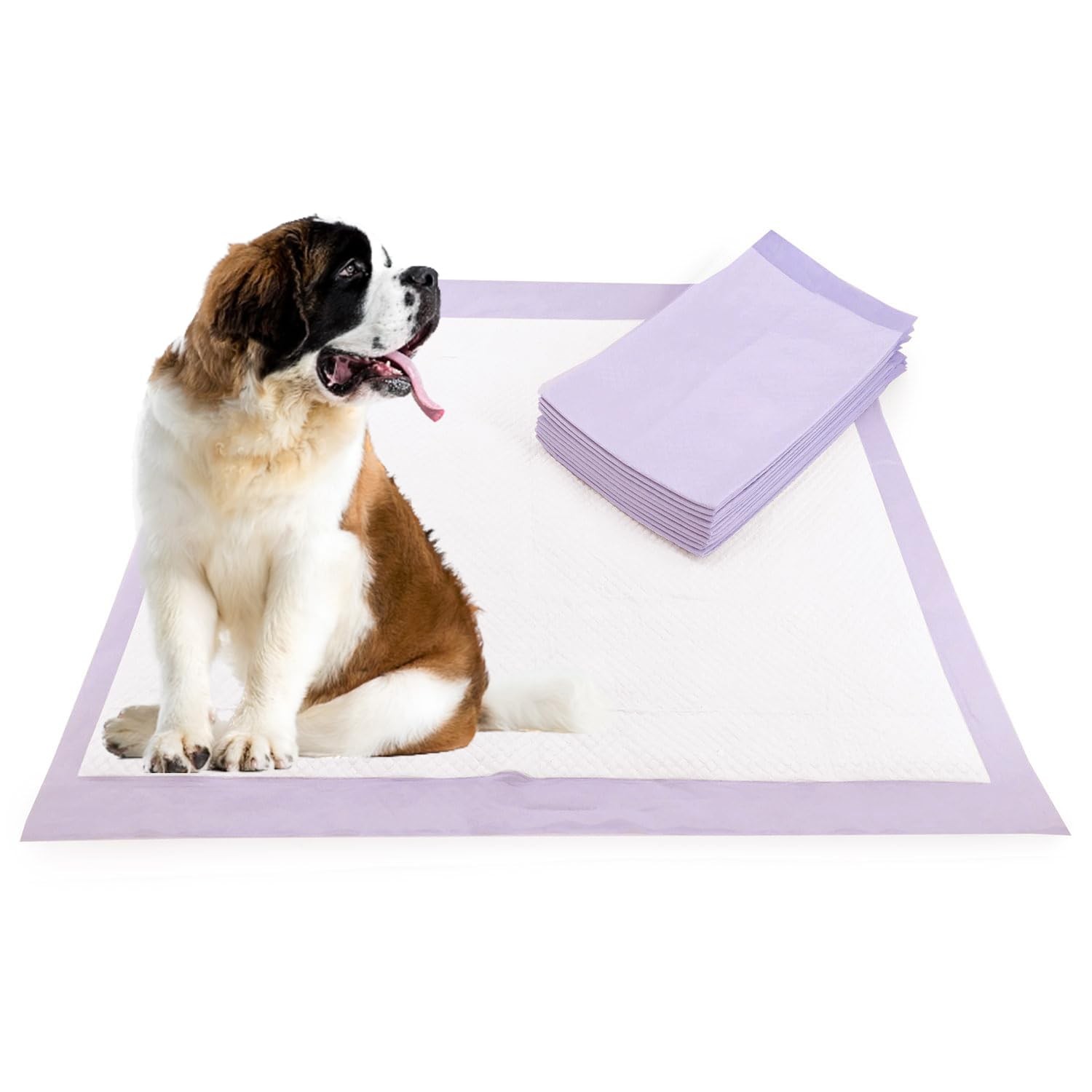 Disposable Pee Pad for Dogs Pets Small Puppy Chucks 22”×22”50pk, Purple
