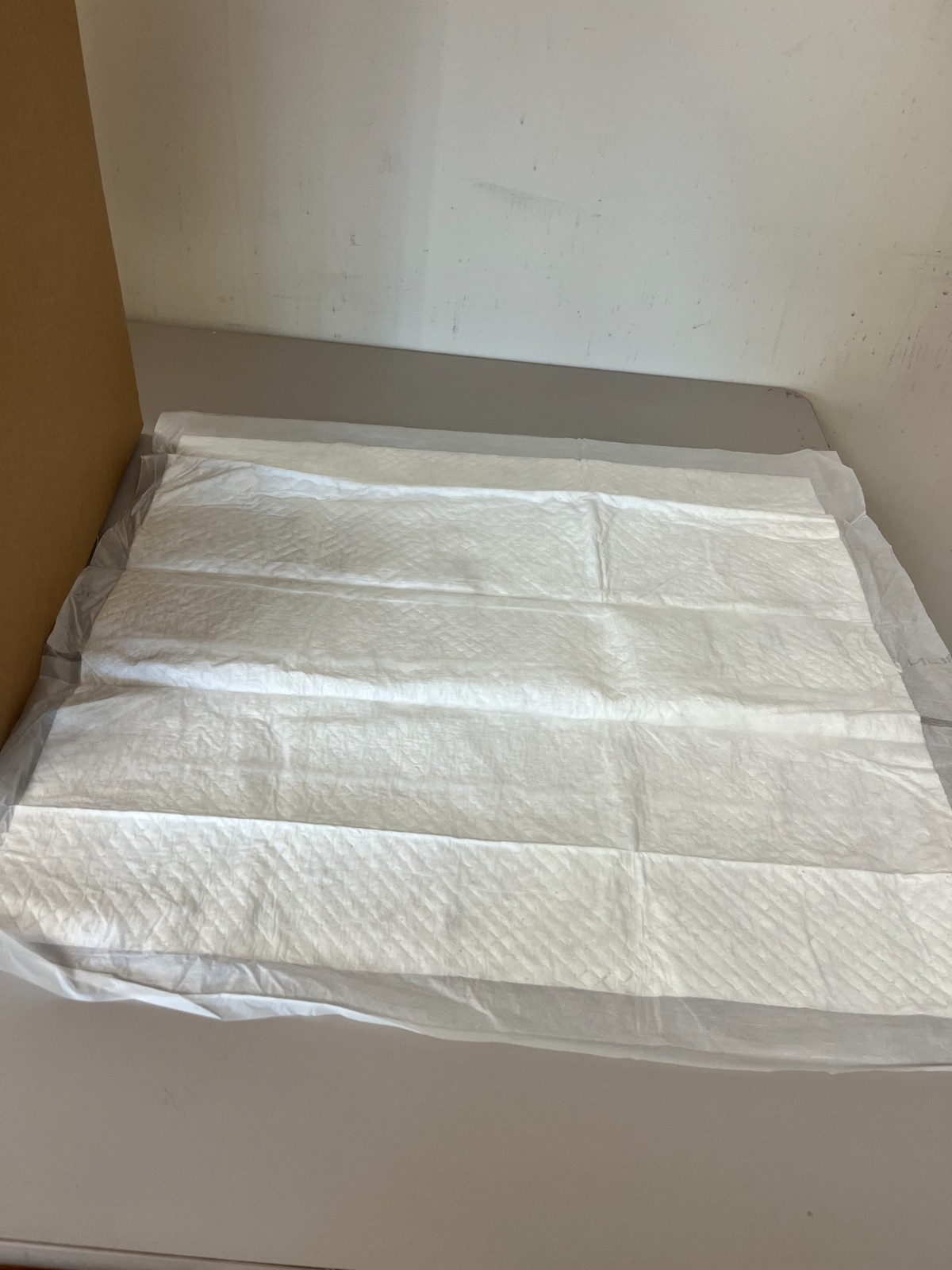 Pup Care Puppy & Dog Training Pads 22 x23 300ct (6 bags of 50ct)