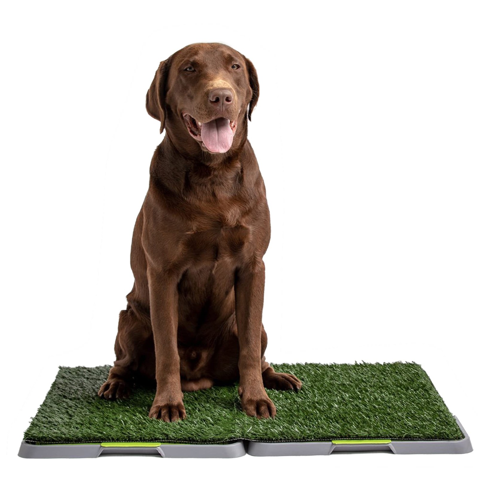 Dog Grass Pad Fake Grass for Dogs to Pee on, Indoor Dog Potty for Dogs Over 1…