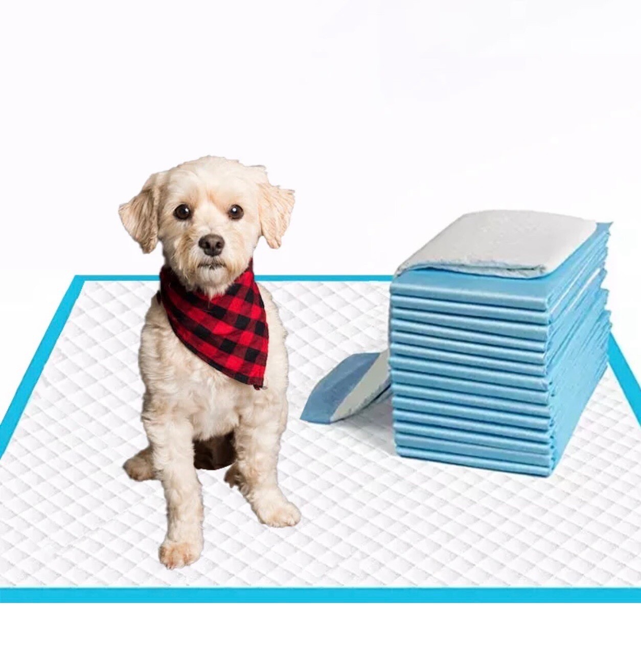 dog training pads