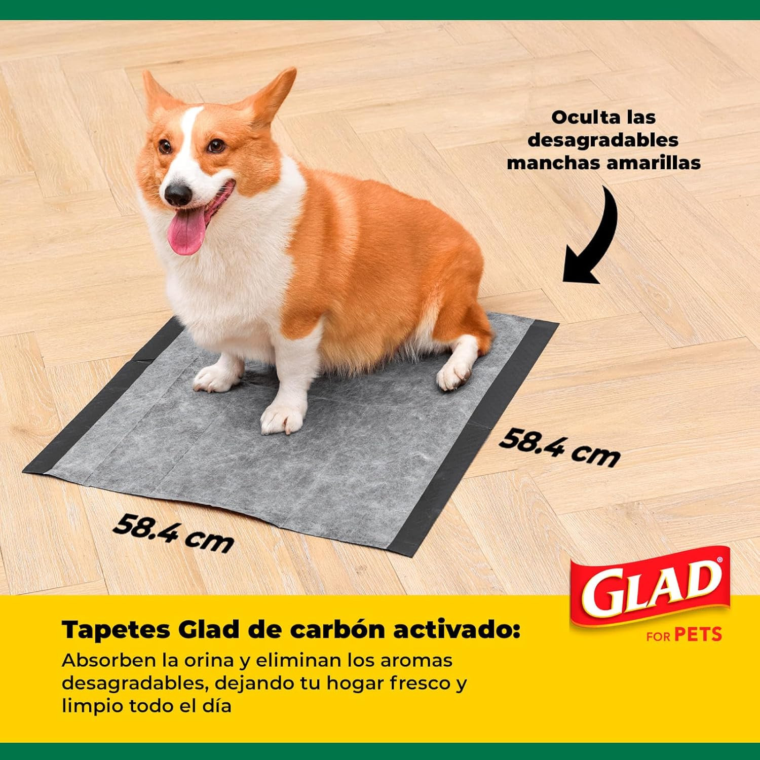 For Pets Black Charcoal Puppy Pads, 23″X23″ Disposable Pee Pad That Absorbs & Ne