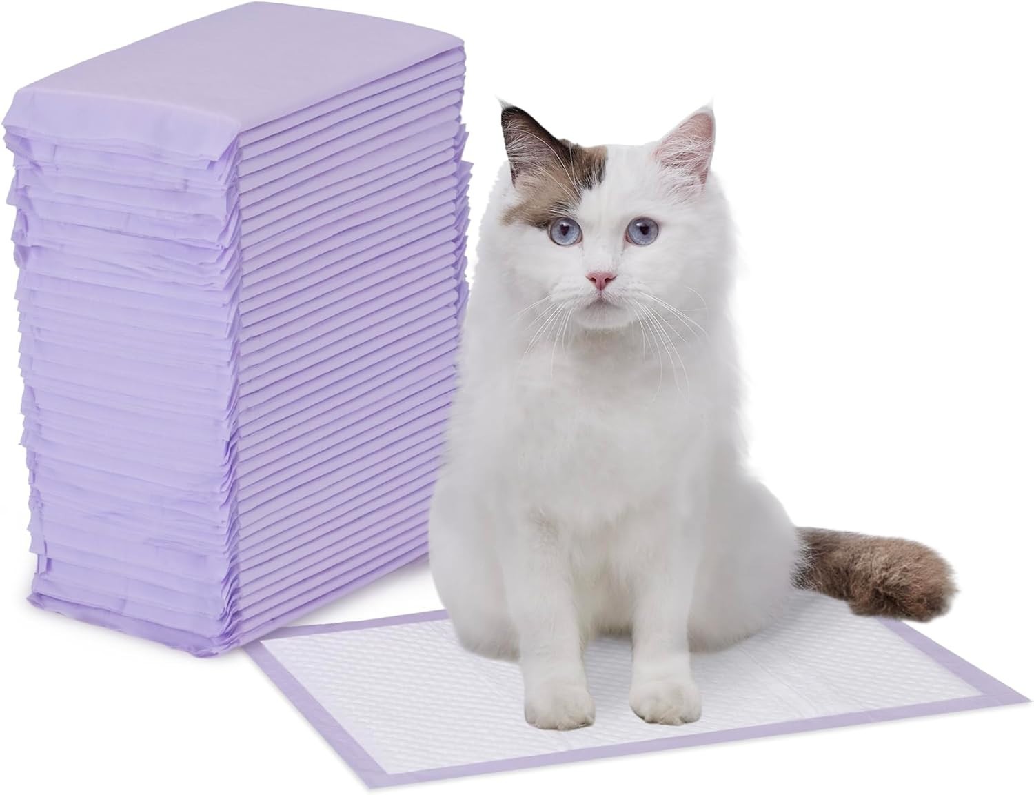 Amazon Basics Cat Pee Pads 40 Count Unscented Odor Control Purple
