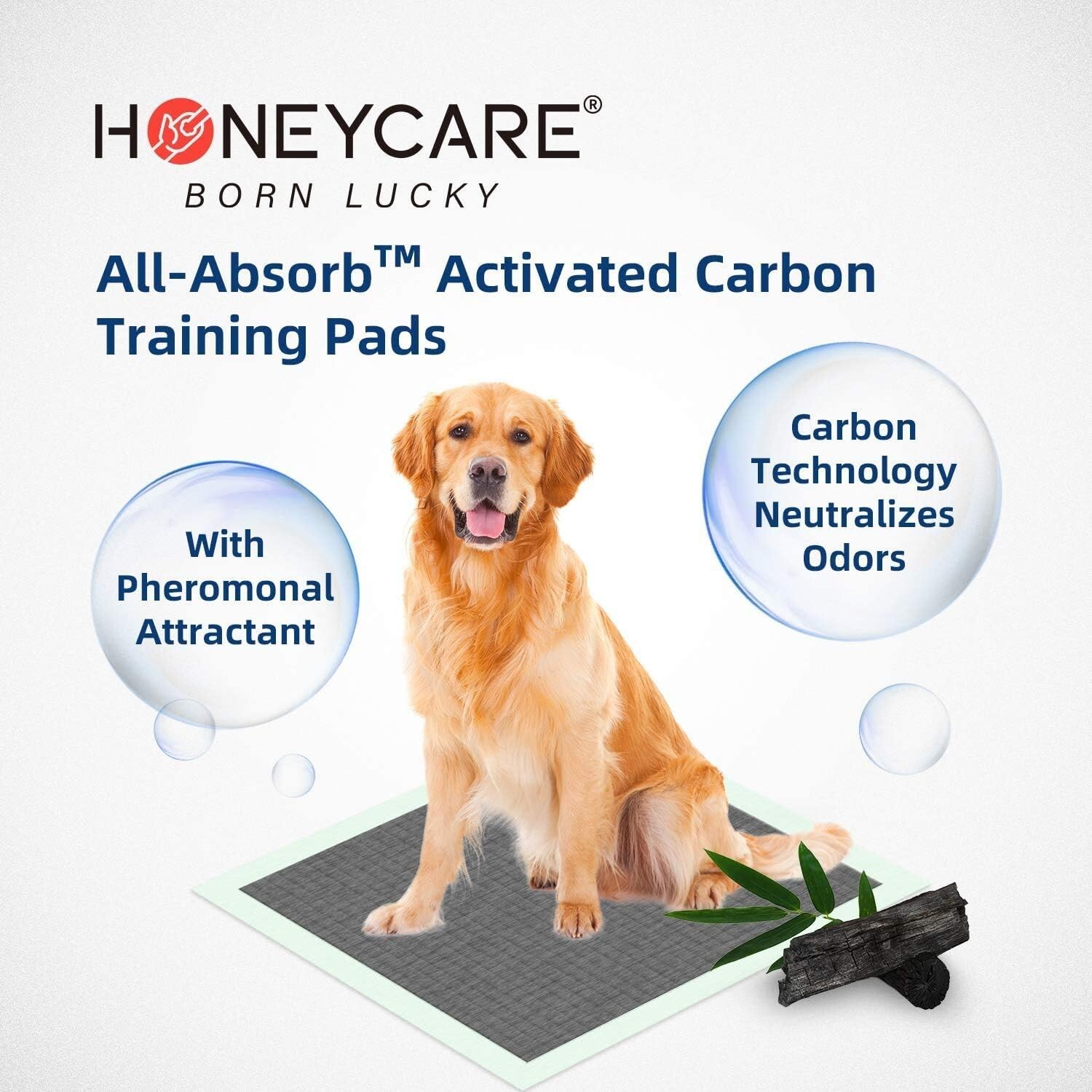 Extra Large 28×34 Charcoal Puppy Pee Pads – Super Absorbent & Odor Eliminating