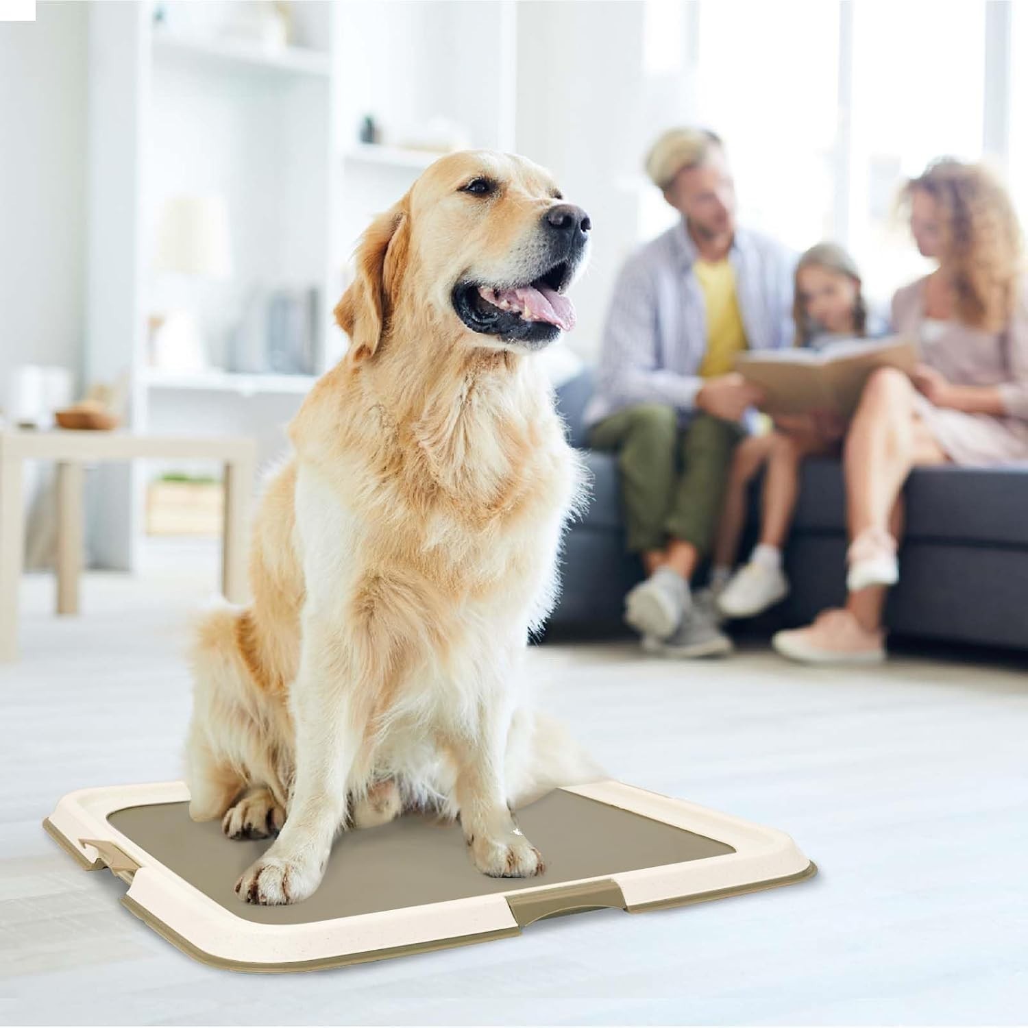 Easy-to-Use Puppy Pad Holder Tray – Compact Design