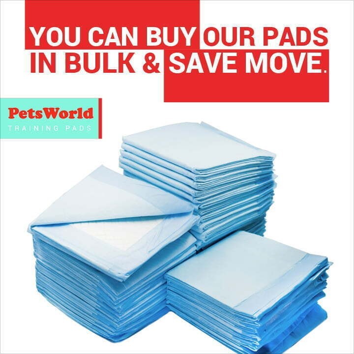 Puppy Training Potty Pads Cat Odor Elimination 300 Count Apartments Home Economy