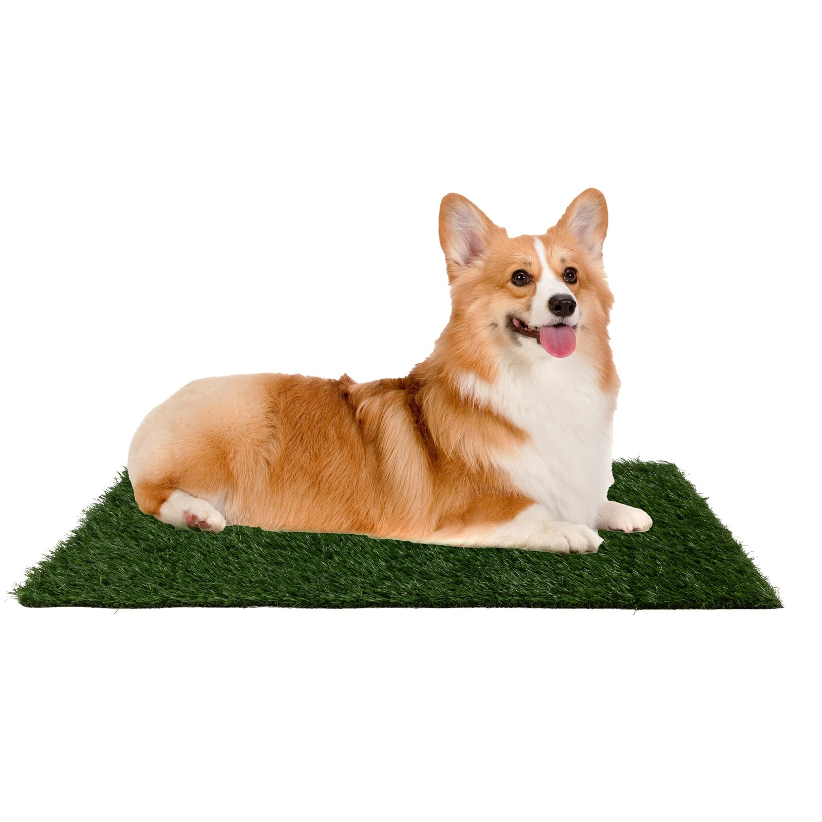 3 Pack 23×18.5 Inch Turf Grass Mats, Pee Pads, Dog Potty Training, Medium, Pet