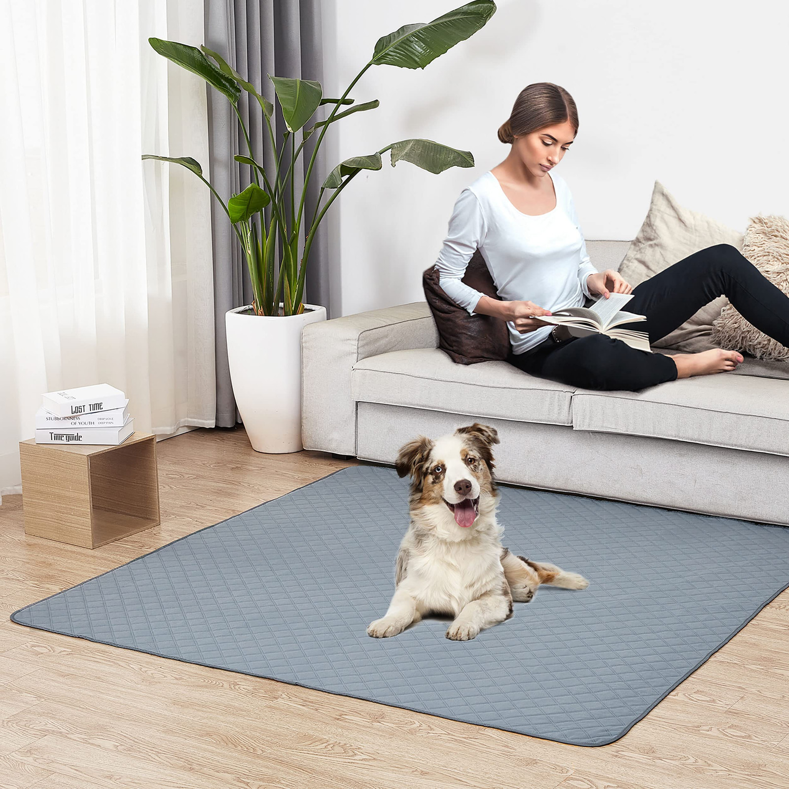 Reusable Washable Pee Pads for Dogs Large/Extra Large 36” x 41” 2 Pack, Abs…