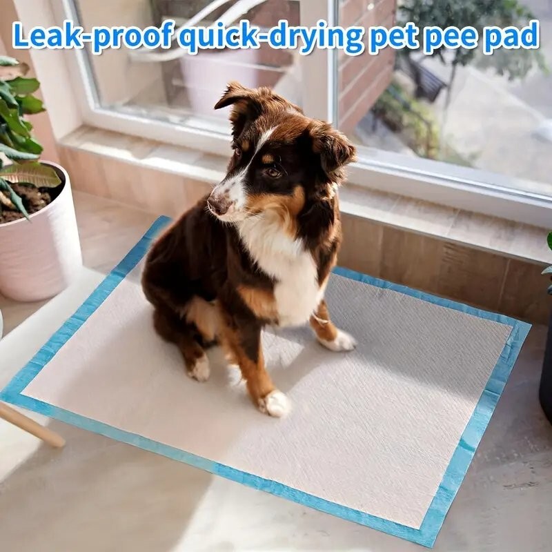 NEW 50 Super Absorbent, 23.62 x 23.62″ Weighted Pet Changing Pads