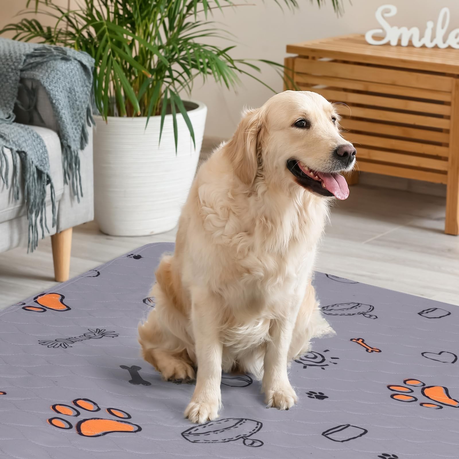 Large Washable Dog Pee Pads 36″x41″ – Super Absorbent, Waterproof, Non-Slip, 2 P