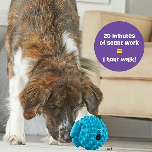 Tough & Tumble Treat Dispenser Pufferfish – Interactive Dog Toys, Dog Large