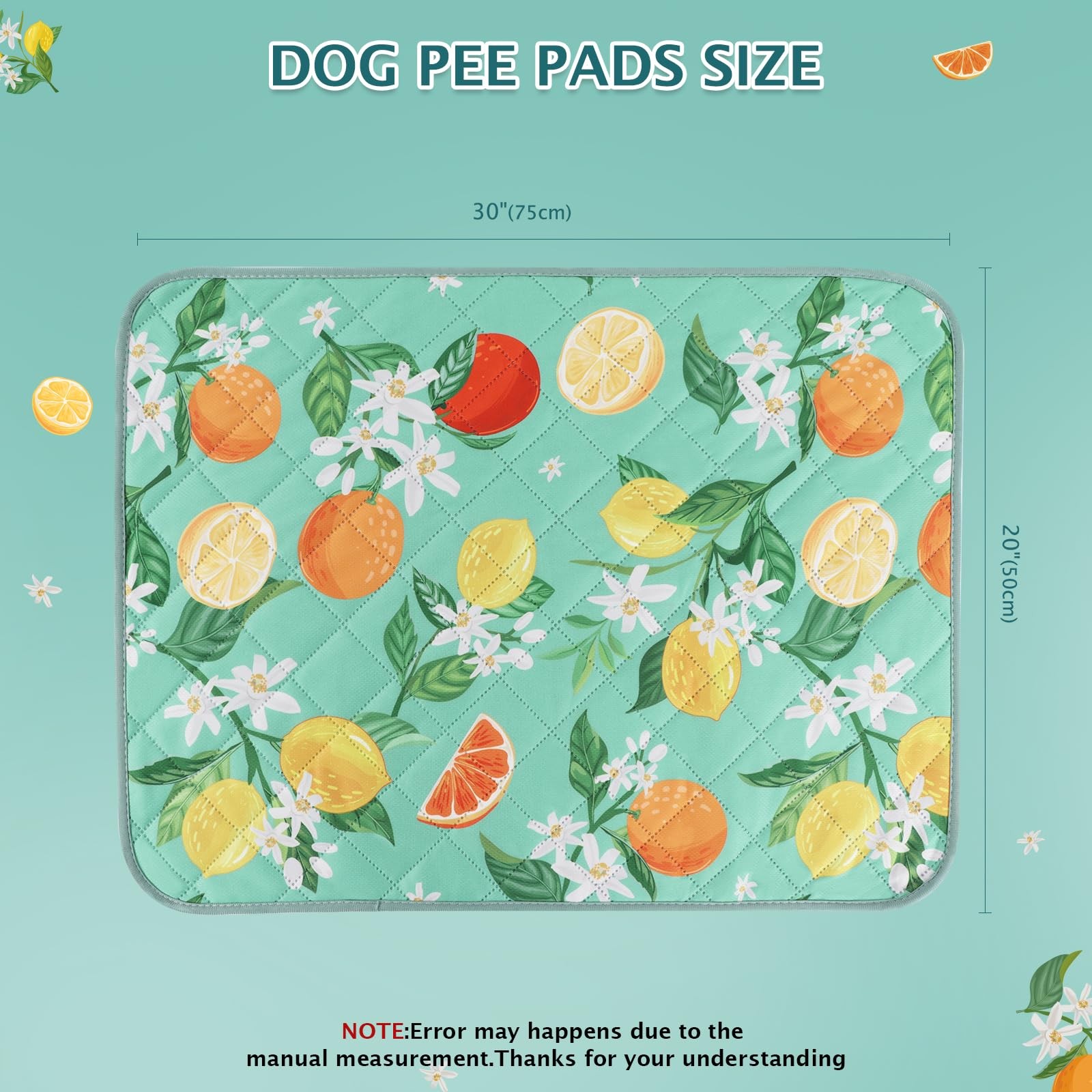 BVAGSS Washable Pee Pads for Dogs, 2 Pack 30X20 Inch (Pack of 2), Green Lemon