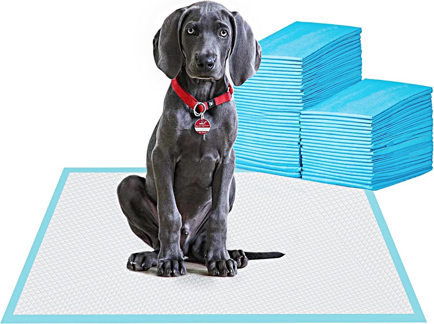 Extra Large 80 Count Puppy Pee Pads – 5-Layer Leak-Proof & Quick-Dry Design
