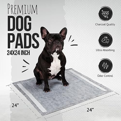 Bulldoglogy Carbon Black Puppy Pads with Adhesive Tape – Large Charcoal House…