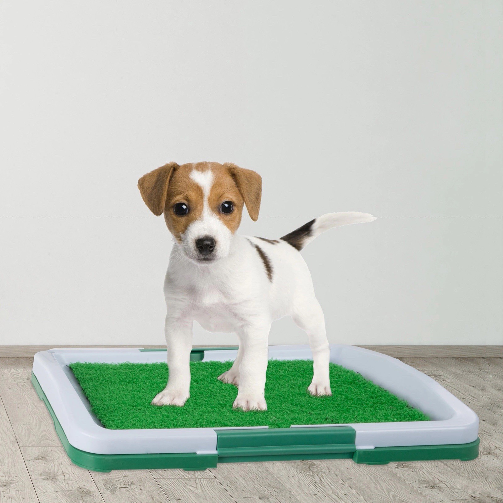Tail Waggers Indoor Potty Trainer Odor Resistant 17.9×13.0x2.0IN