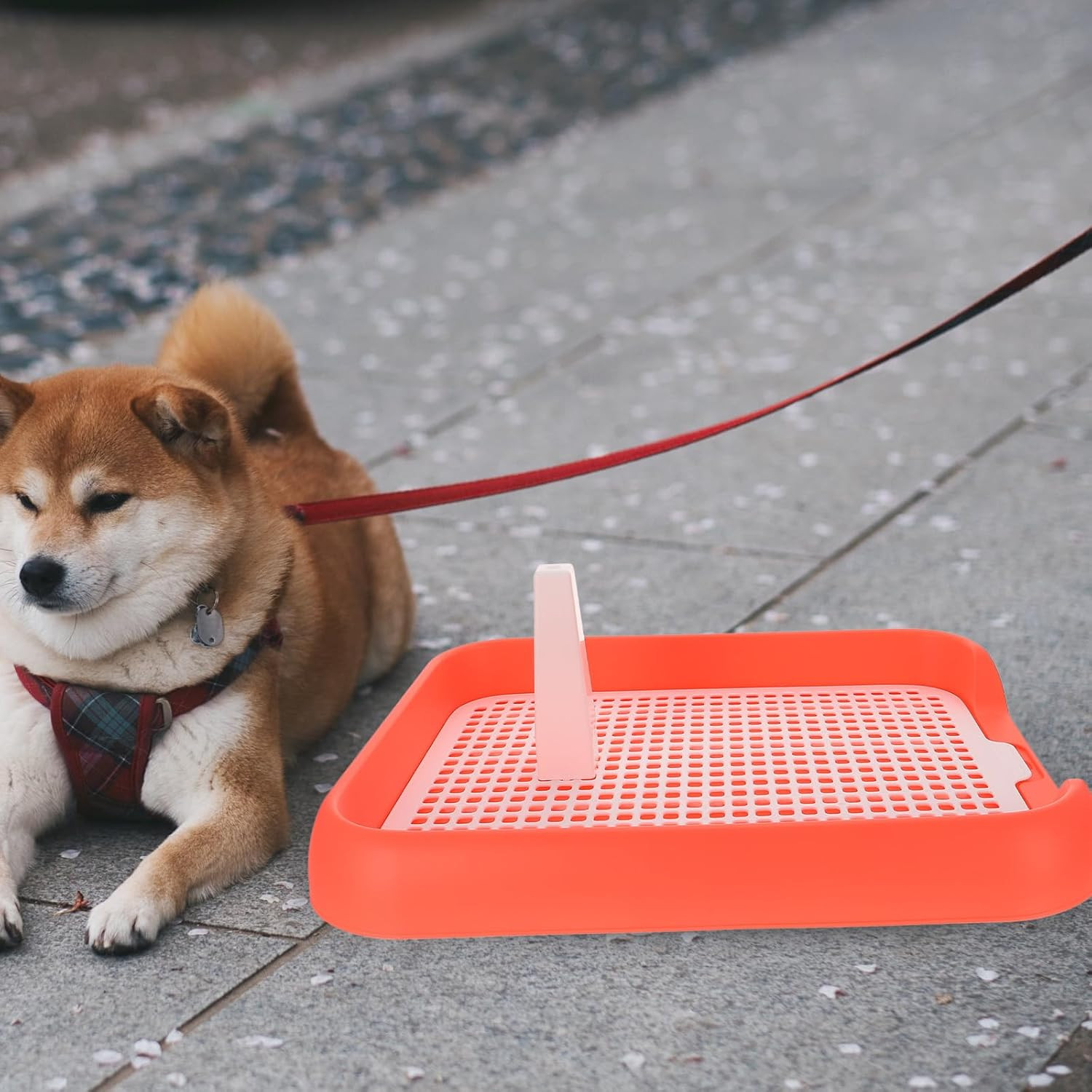 Mesh Dog Toilet Puppy Potty Training Tray Indoor Dog Pee Pad Holder Anti-Slip Li