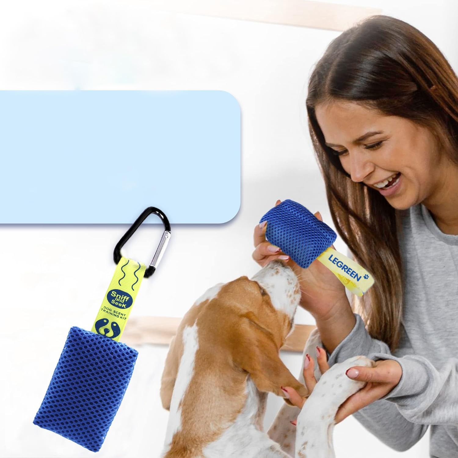 Cross-Border Popular Dog Game Package for Dogs Homework Smell Training Scent …