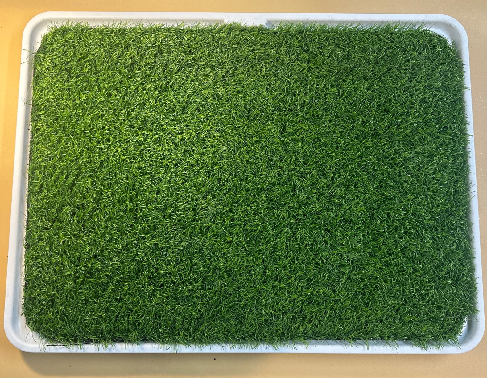 Dog Grass Pad 18×24