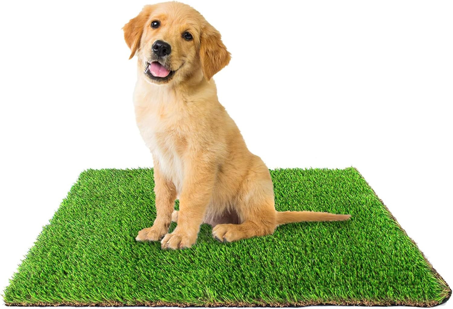 Replacement Dog Potty Grass, 16 X 20 – Washable Synthetic Grass Pad for Dogs