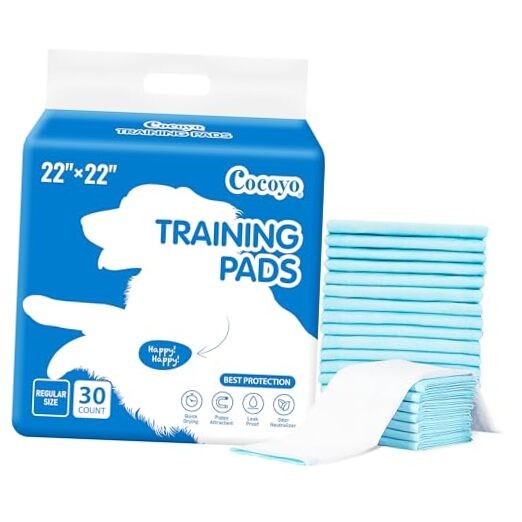 Best Value Training Pads Count Regular Size (22″x22″), 30 Count (Pack of 1) 30
