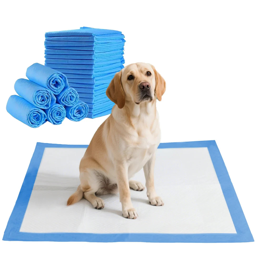 GoofyPet 22″ x 17.5 100 Pcs Premium Disposable Training Pads, Pee Pads, Puppy