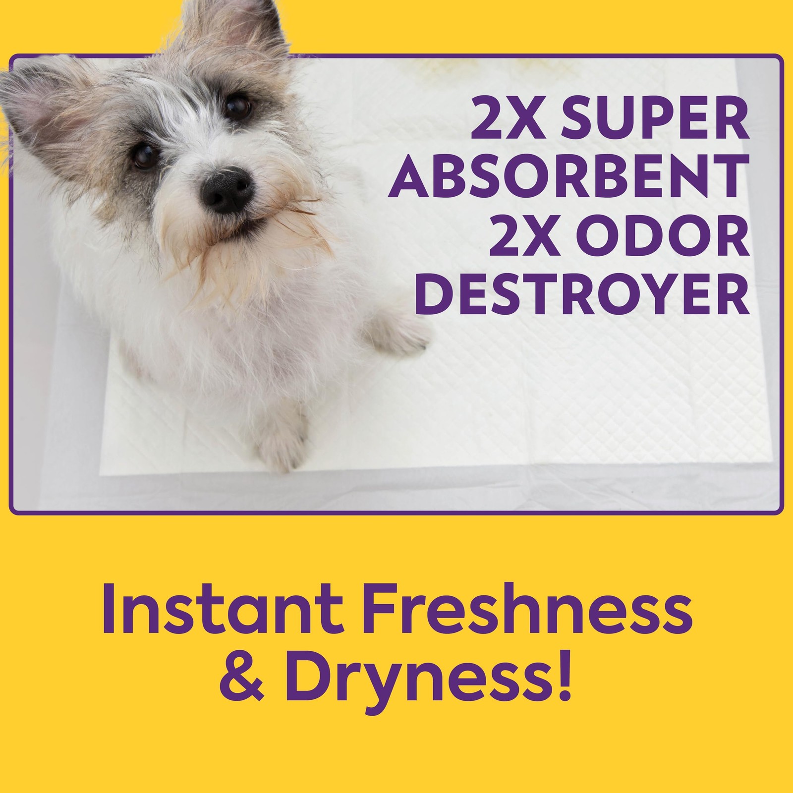 OUT! Odor Control Extra Large Dog Pads | Absorbent Pet Training and Puppy Pads |