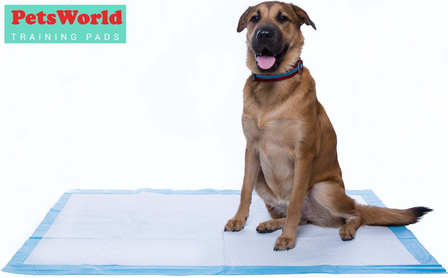 150 Ct Gigantic Dog Training & Potty Pads Extra-Large Absorption (36×36 inch) US