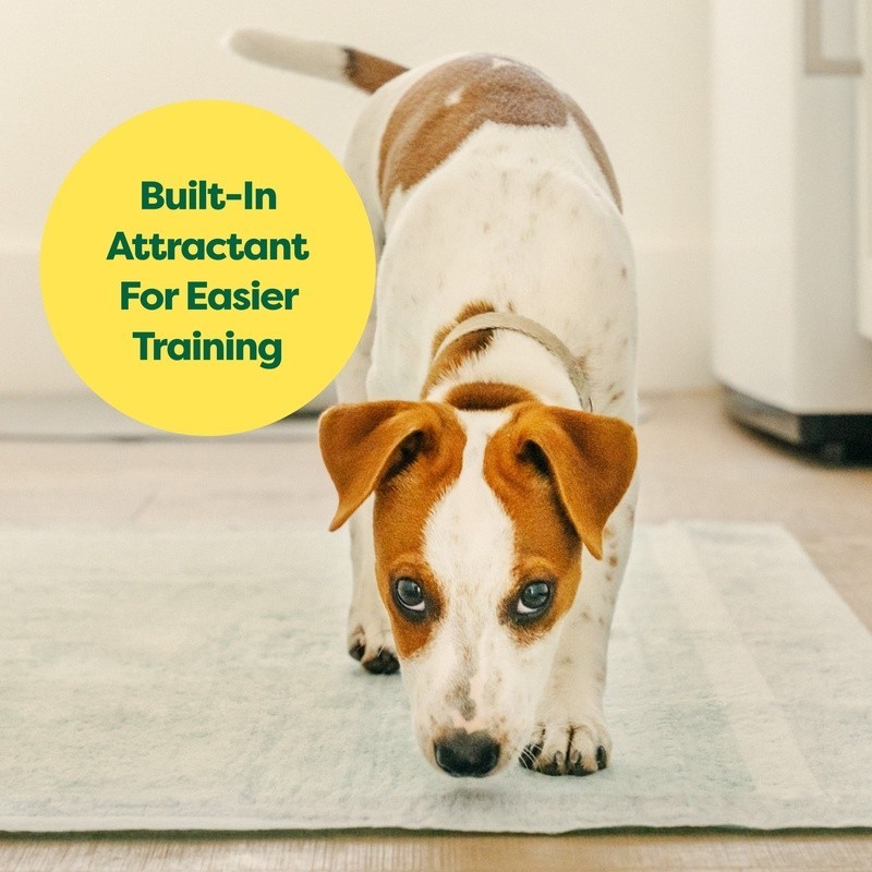 Leakproof Dog Pee Pads Odor Locking AbsorbShield Adhesive 25 Count Pack New