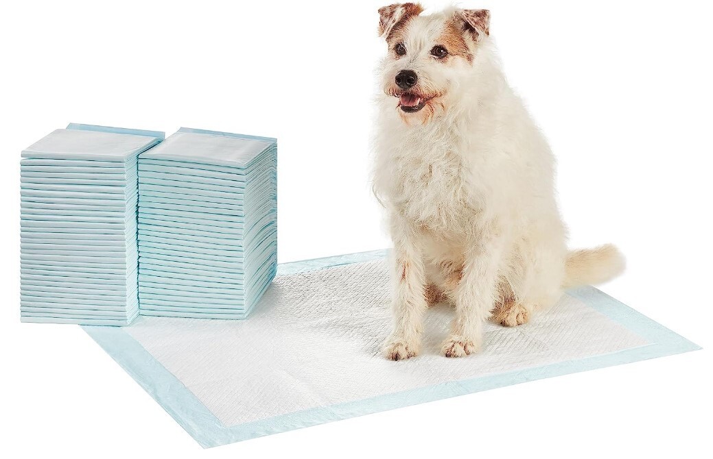 Amazon Basics Dog and Puppy Pee Pads X-Large, 28 x 34 Inch – Pack of 60