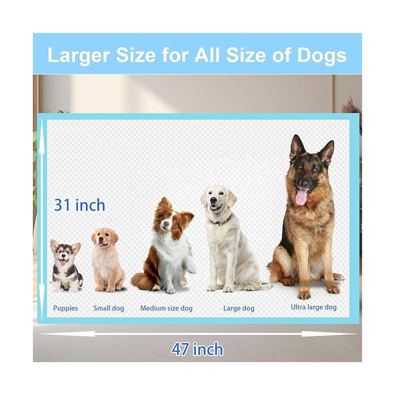 XXXXL Puppy Pee Pads for Dogs 31″x47″ 40 Count, Extra Large Dog… FAST USA SHIP